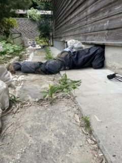 作業風景@能登半島